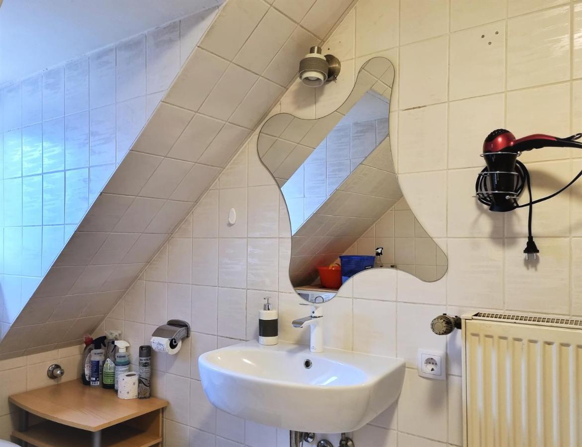Apartment Bayreuth, Grosse Ferienwohnung Im Haus Mit Kunst, 3 Schlafzimmer, Kueche, Parkplatz 외부 사진